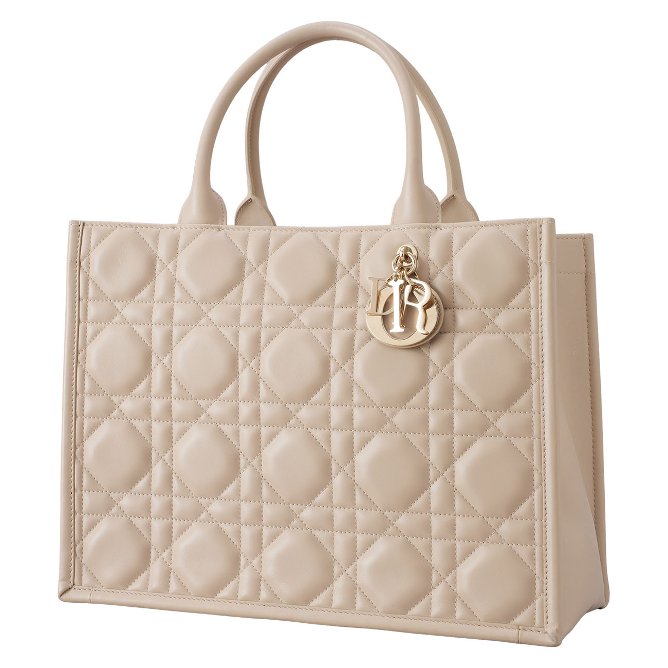 CHRISTIAN DIOR(USED)디올 레더 북토트 미듐